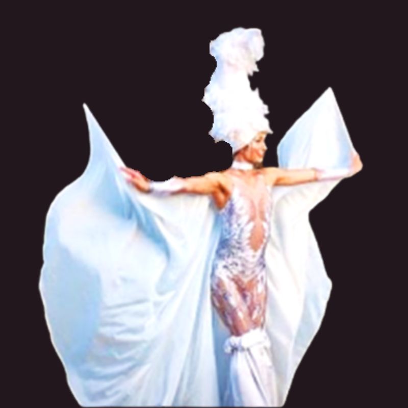 la dama bianca o donna unicorno
